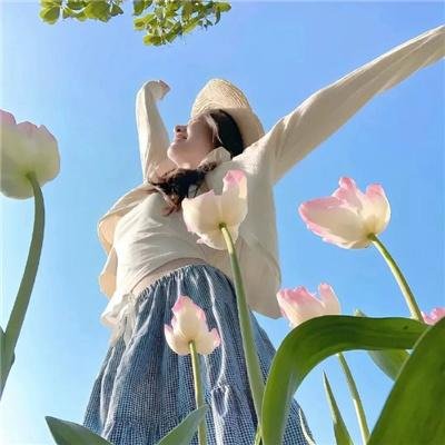 侠女游龙国语